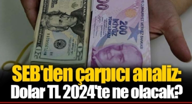 SEB'den çarpıcı analiz: Dolar TL 2024'te ne olacak?
