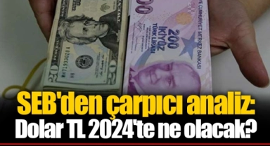 SEB'den çarpıcı analiz: Dolar TL 2024'te ne olacak?