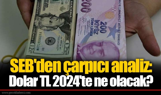 SEB'den çarpıcı analiz: Dolar TL 2024'te ne olacak?