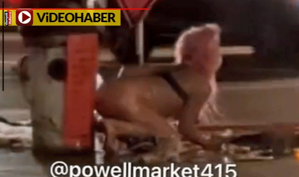 Şebeke suyuyla cadde ortasında çırılçıplak yıkandı