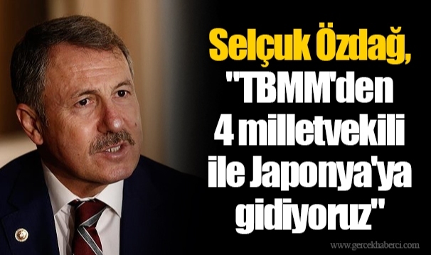 Selçuk Özdağ, "TBMM'den 4 milletvekili ile Japonya'ya gidiyoruz"