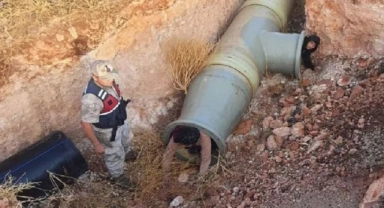 Tesadüfen fark edilen kaçak göçmenler hayrete düşürdü: Bakın nereye saklanmışlar!