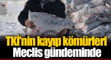TKİ’nin kayıp kömürleri Meclis gündeminde