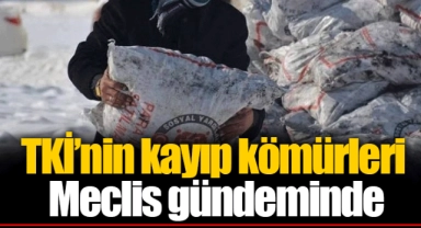TKİ’nin kayıp kömürleri Meclis gündeminde
