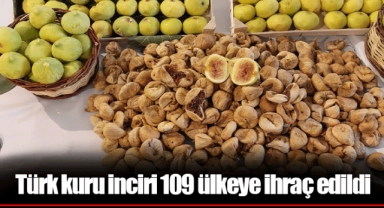 Türk kuru inciri 109 ülkeye ihraç edildi