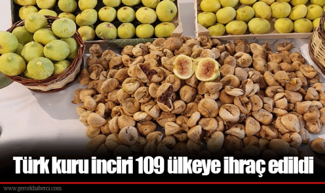 Türk kuru inciri 109 ülkeye ihraç edildi