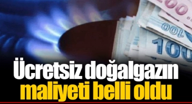 Ücretsiz doğalgazın maliyeti belli oldu
