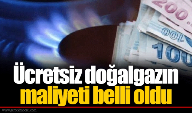 Ücretsiz doğalgazın maliyeti belli oldu