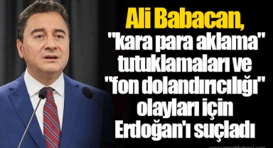 Ali Babacan, "kara para aklama" tutuklamaları ve "fon dolandırıcılığı" olayları için Erdoğan'ı suçladı