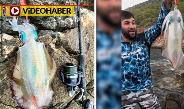 Balıkçının avladığı kalamar güzelliğiyle tartışma yarattı