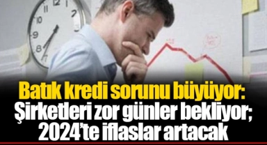 Batık kredi sorunu büyüyor: Şirketleri zor günler bekliyor; 2024’te iflaslar artacak
