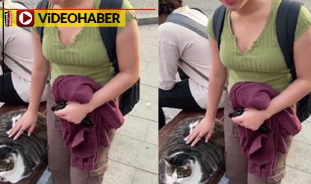 Beşiktaş&#039;ın obez kedi depresyona girdi