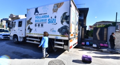 Bir yılda bin 600 hayvan mahallesinde kısırlaştırıldı