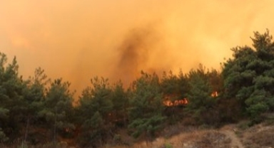 Çanakkale’de orman yangını...Bir köy boşaltıldı