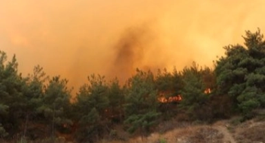 Çanakkale’de orman yangını...Bir köy boşaltıldı