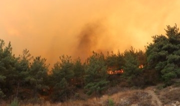 Çanakkale’de orman yangını...Bir köy boşaltıldı