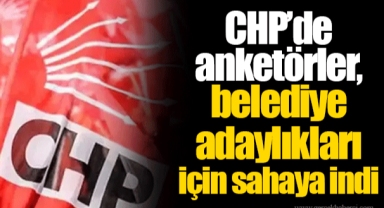 CHP’de anketörler, belediye adaylıkları için sahaya indi