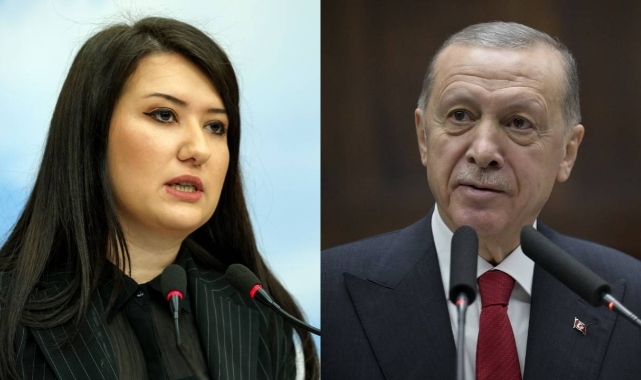 CHP'li Gökçen'den Erdoğan'a "Oturmak istiyorsanız parka gidin" yanıtı: Emin misiniz?