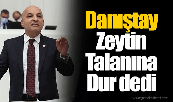 Danıştay Zeytin Talanına Dur dedi