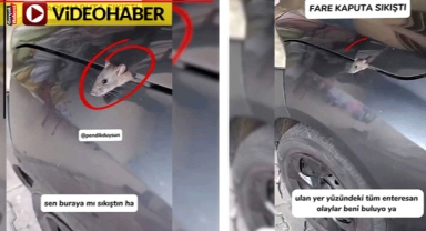 Enteresan olay: Fare kaputa sıkıştı