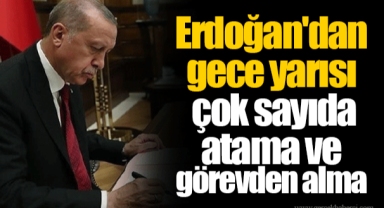 Erdoğan'dan gece yarısı çok sayıda atama ve görevden alma