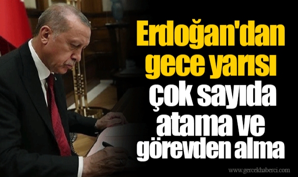 Erdoğan'dan gece yarısı çok sayıda atama ve görevden alma