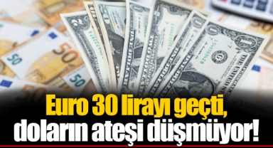 Euro 30 lirayı geçti, doların ateşi düşmüyor!