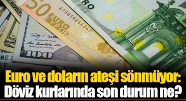 Euro ve doların ateşi sönmüyor: Döviz kurlarında son durum ne?