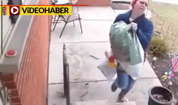 Görenler şaşırdı... Kendisini besleyen kadına kurabiye getirdi