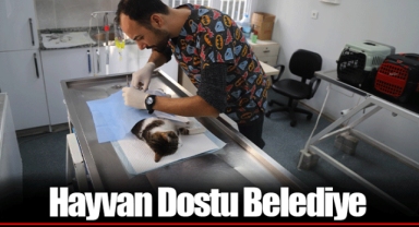 Hayvan Dostu Belediye