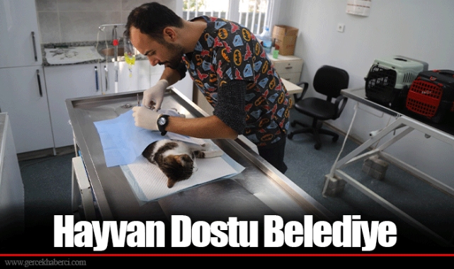 Hayvan Dostu Belediye