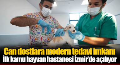 İlk kamu hayvan hastanesi İzmir’de açılıyor