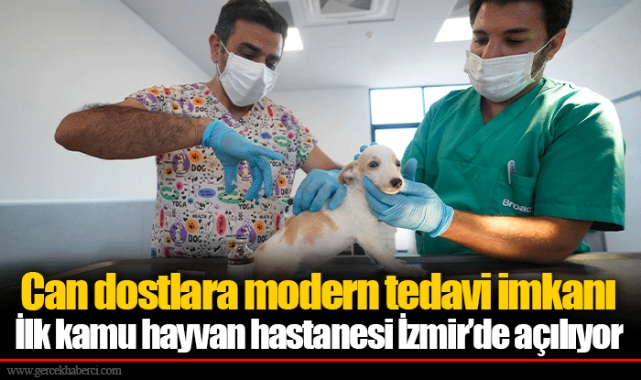 İlk kamu hayvan hastanesi İzmir’de açılıyor