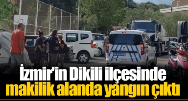 İzmir'in Dikili ilçesinde makilik alanda yangın çıktı