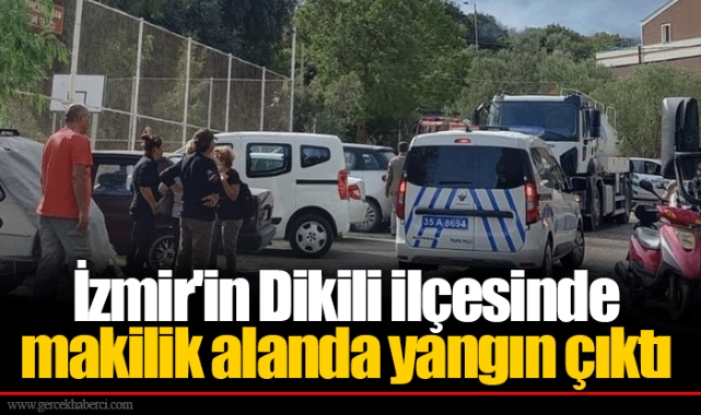 İzmir'in Dikili ilçesinde makilik alanda yangın çıktı