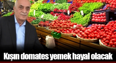 Kışın domates yemek hayal olacak
