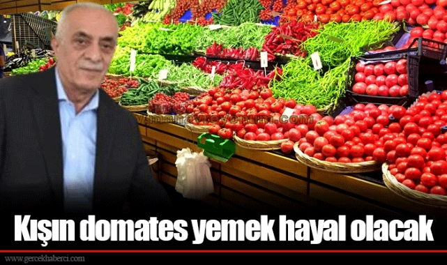 Kışın domates yemek hayal olacak