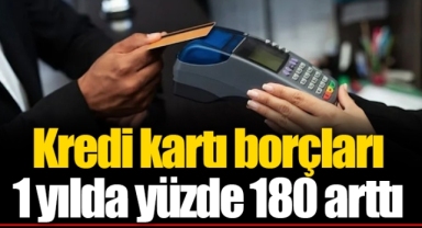 Kredi kartı borçları 1 yılda yüzde 180 arttı