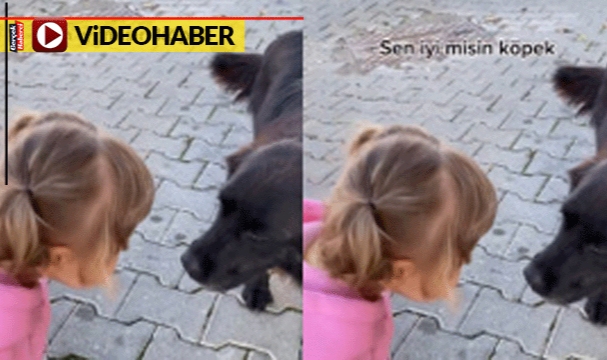Küçük çocuk gördüğü köpeğe iltifatlar yağdırdı