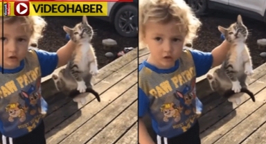 Küçük çocuk kediyi ölü rakun sandı, böyle alıp götürdü