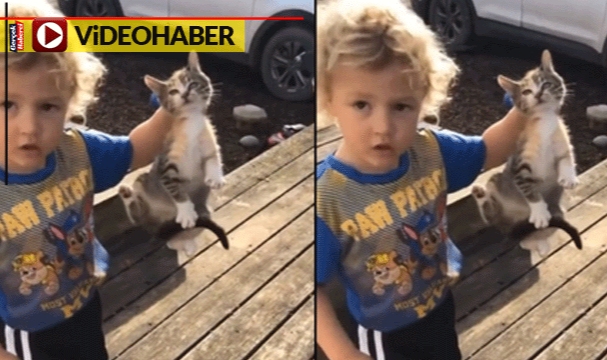 Küçük çocuk kediyi ölü rakun sandı, böyle alıp götürdü