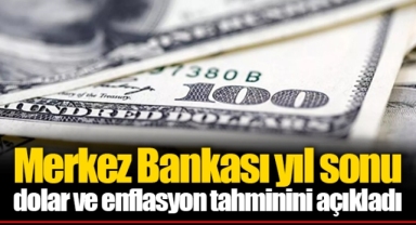 Merkez Bankası yıl sonu dolar ve enflasyon tahminini açıkladı