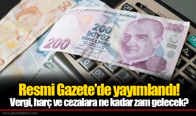 Resmi Gazete'de yayımlandı!   Vergi, harç ve cezalara ne kadar zam gelecek?