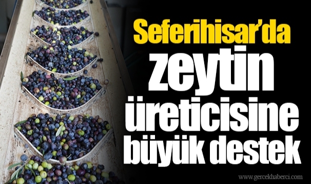 Seferihisar’da zeytin üreticisine büyük destek
