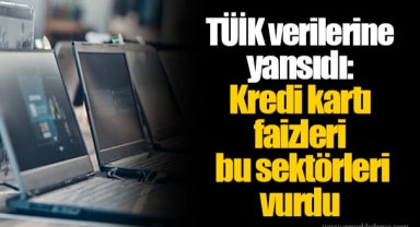 TÜİK verilerine yansıdı: Kredi kartı faizleri bu sektörleri vurdu