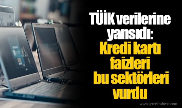 TÜİK verilerine yansıdı: Kredi kartı faizleri bu sektörleri vurdu