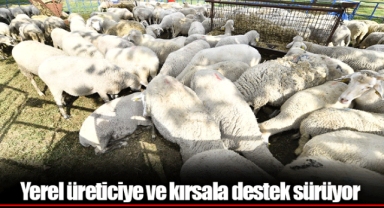 Yerel üreticiye ve kırsala destek sürüyor