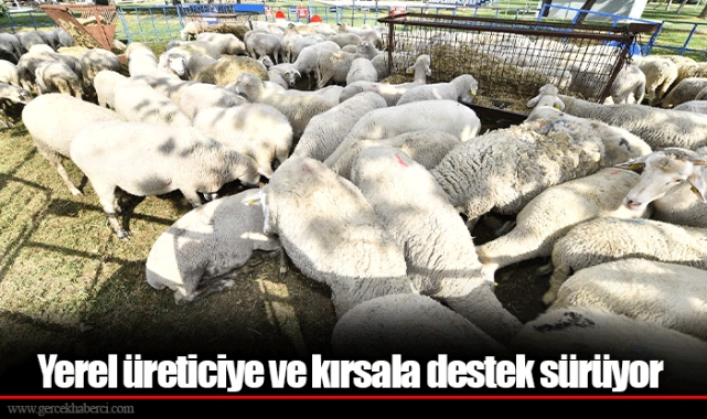 Yerel üreticiye ve kırsala destek sürüyor