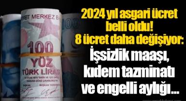 2024 yılı asgari ücret belli oldu! 8 ücret daha değişiyor: İşsizlik maaşı, kıdem tazminatı ve engelli aylığı...