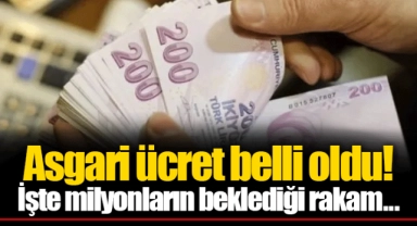 Asgari ücret belli oldu!